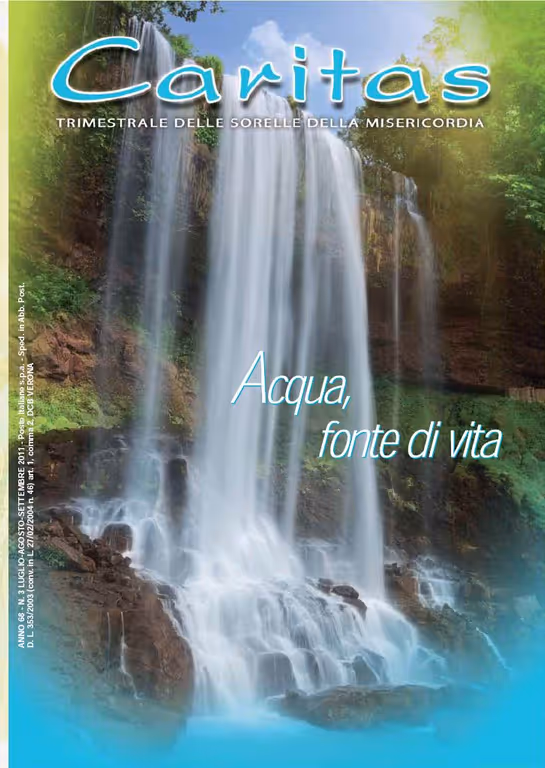 Rivista Caritas 2011